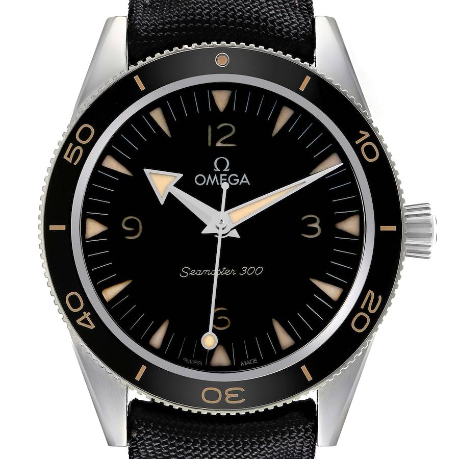 The Omega Seamaster watch is shown from the front, displaying the dial, bezel, hands, indices, and crown.