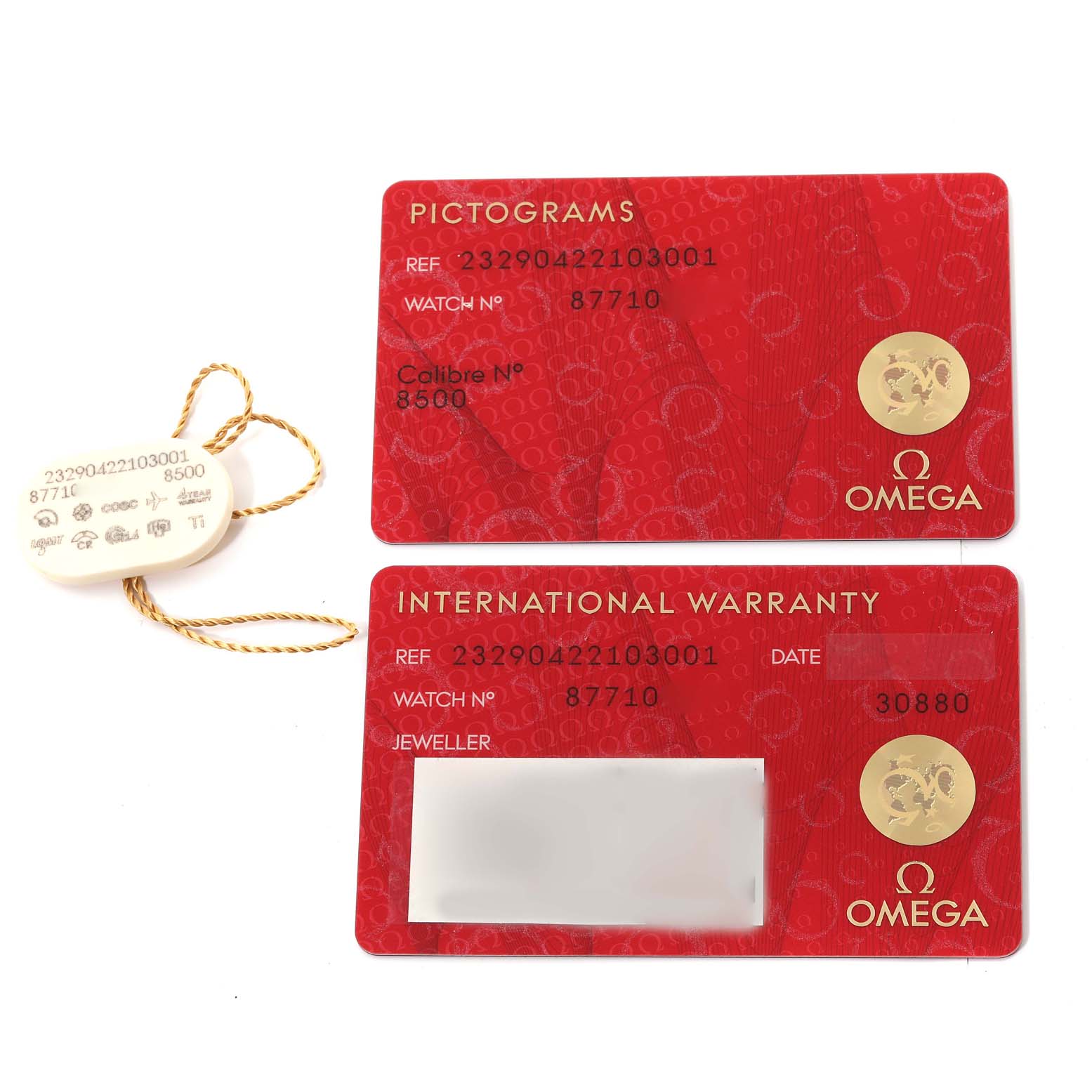 The image shows a red pictogram card, an international warranty card, and a tag for the Omega Planet Ocean 232.90.42.21.03.001 Men
s Titanium Blue Dial 232.90.42.21.03.001 Men
s Titanium Blue Dial watch model.