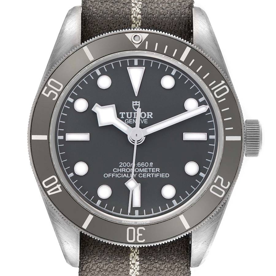 The Tudor Heritage Black Bay watch is shown from the front, displaying the dial, bezel, and strap.