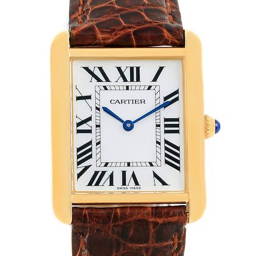 Photo of Cartier Tank Solo 18k Yellow Gold Steel Brown Strap Watch W1018855