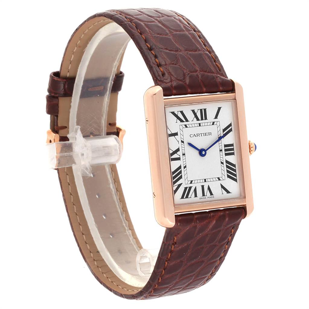 This image shows the Cartier Tank Solo W5200025 Men
s Steel and Gold (two tone) Silver Dial W5200025 Men
s Steel and Gold (two tone) Silver Dial watch from a front-left angle, highlighting its rectangular face and brown leather strap.