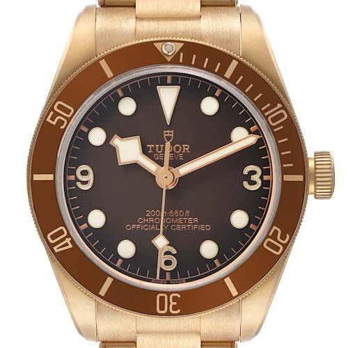 The Tudor Heritage Black Bay M79012M-0001 Men's Bronze Brown Dial watch is shown from the front, highlighting the dial, bezel, and part of the bracelet.