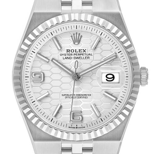 The Rolex Land-Dweller watch is shown from a front angle, displaying the face, dial details, bezel, and part of the bracelet.