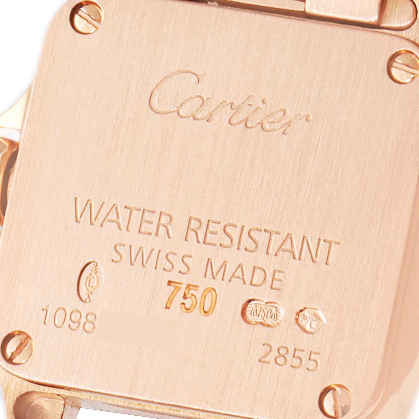 This is the back case of the Santos Demoiselle model by Cartier, showing engravings and screws.