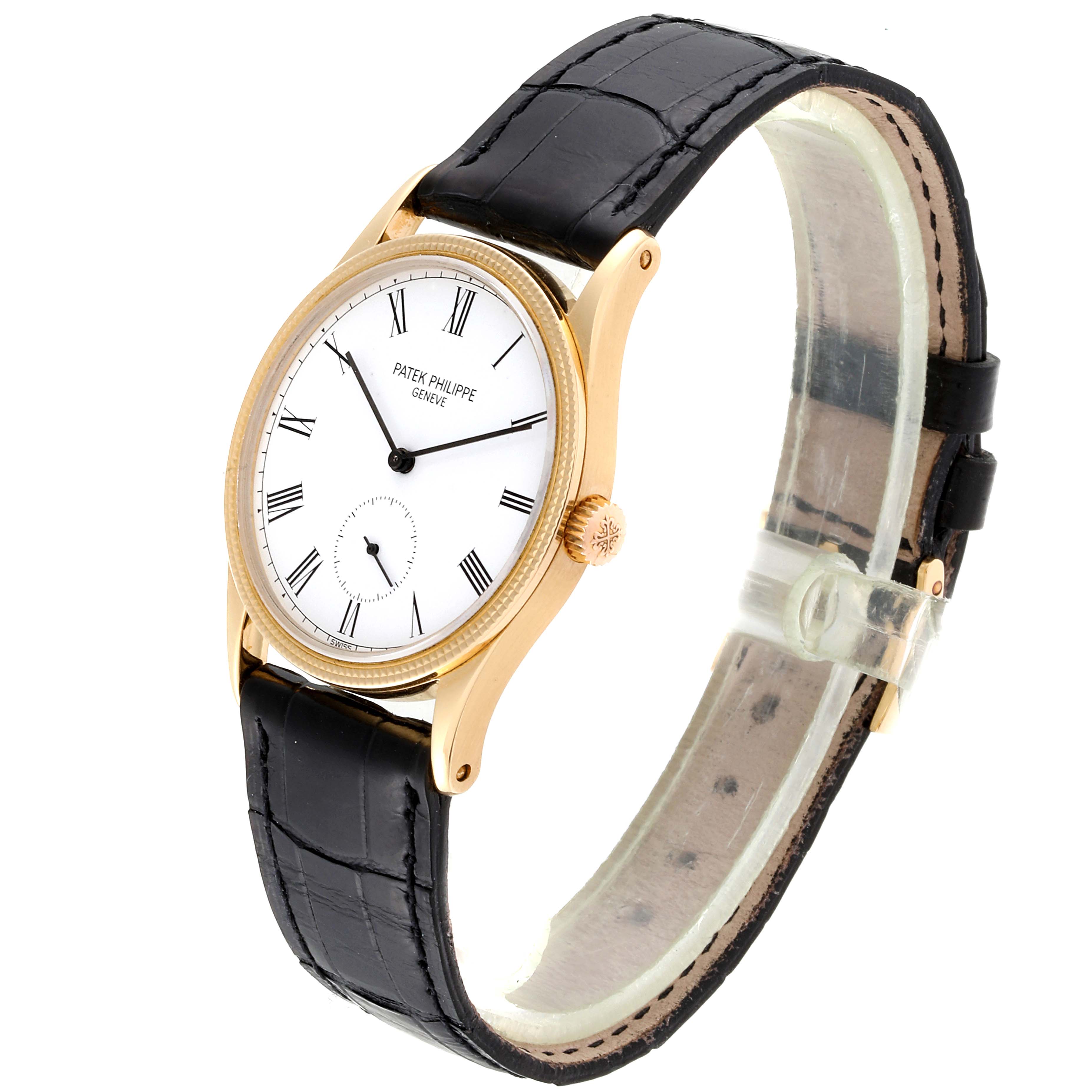 The image shows a Patek Philippe Vintage model watch at a three-quarter angle, displaying the watch face, case, crown, and leather strap.