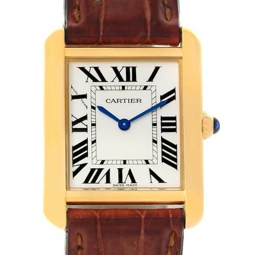 Photo of Cartier Tank Solo Small Gold and Steel Brown Strap Watch W1018755