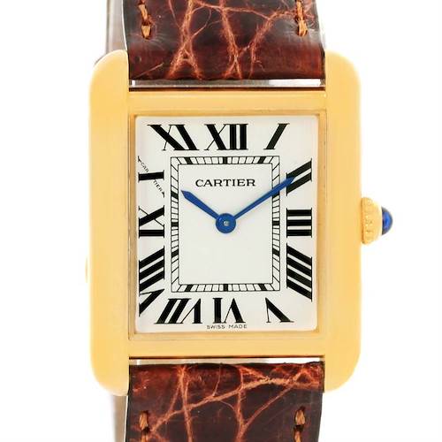 Photo of Cartier Tank Solo Small Yellow Gold Steel Brown Strap Watch W1018755