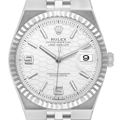 The Rolex Land-Dweller watch is shown from a frontal angle, displaying the dial, bezel, crown, and part of the bracelet.