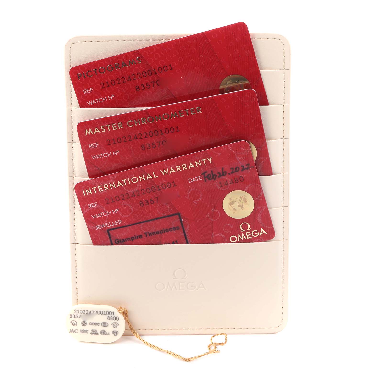 The image shows Omega Seamaster 210.22.42.20.01.001 Men
s Steel and Gold (two tone) Black Dial 210.22.42.20.01.001 Men
s Steel and Gold (two tone) Black Dial model cards: pictograms, master chronometer, international warranty, and a tag, displayed vertically.