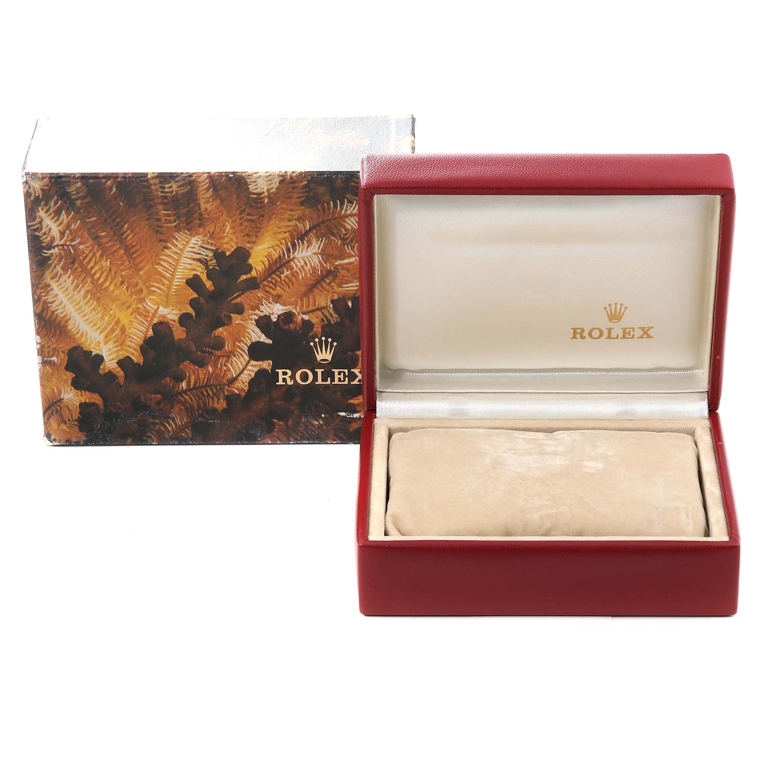 This image shows the packaging box and open display case for the Rolex President 69139 Women's White Gold Brown Dial 69139 Women's White Gold Brown Dial model watch.