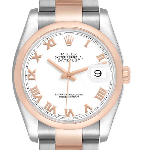 The Rolex Datejust 116201 Men's Stainless Steel White Dial watch is shown from the front, displaying the dial, bezel, part of the bracelet, and crown.