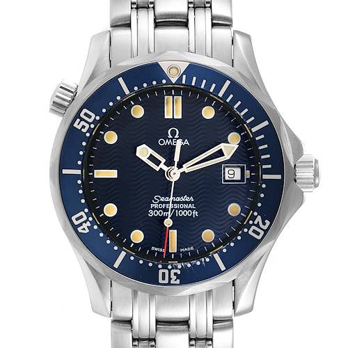 The image shows a front view of the Omega Seamaster Professional watch, displaying its blue dial and stainless steel bracelet.