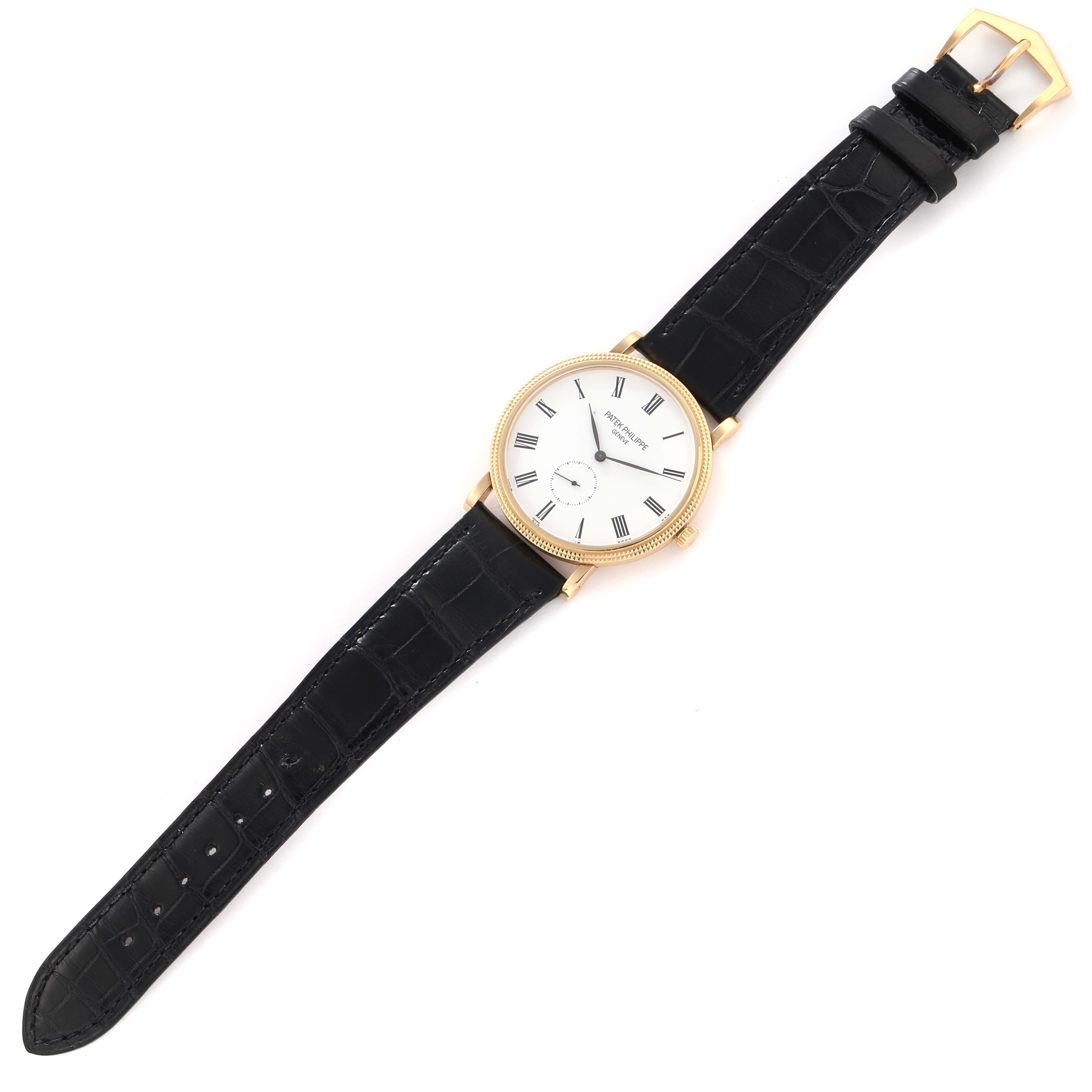 The image shows a Patek Philippe Calatrava model 5119J-001 watch at an elevated angle, displaying its face, bezel, and black leather strap.