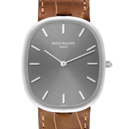 Photo of Patek Philippe Golden Ellipse White Gold Gray Dial Watch 3738