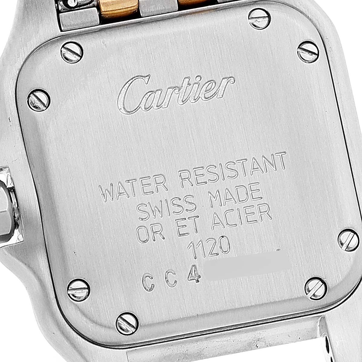 This image shows the back case of a Panthere model by Cartier, highlighting the engraved details and screws.