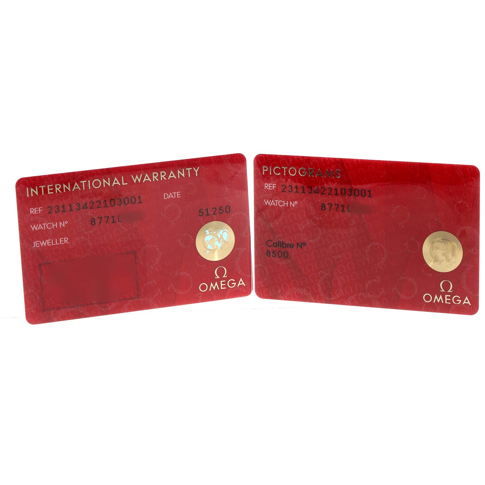 The image shows two red cards for the Omega Aqua Terra 231.13.42.21.03.001 Men's Stainless Steel Blue Dial model, labeled "International Warranty" and "Pictograms."