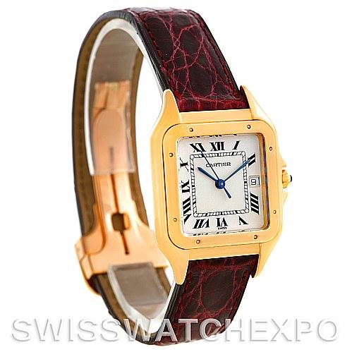 The Cartier Panthère watch is shown at a three-quarter angle, highlighting its square face, Roman numerals, and leather strap.