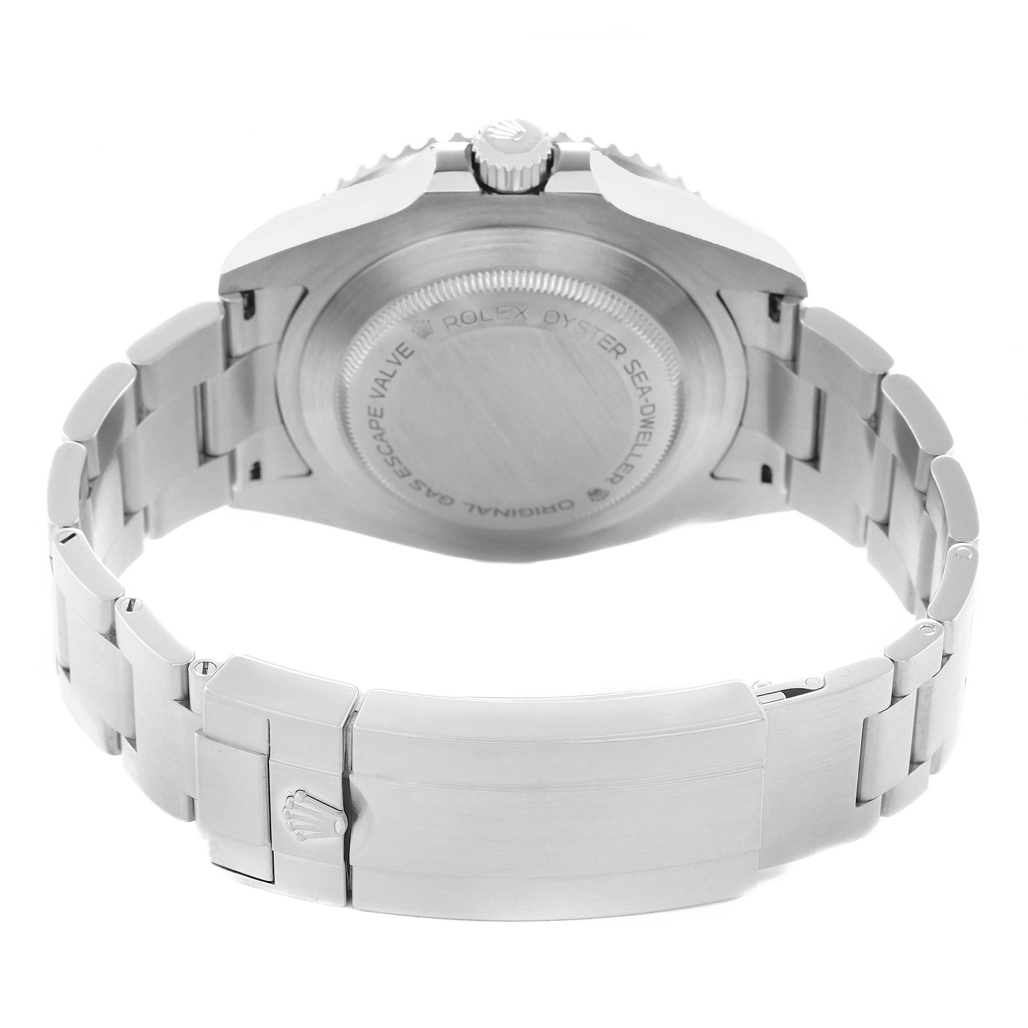 The image shows the back of a Rolex Sea-Dweller model 126600, highlighting the case back, bracelet, and clasp from the rear angle.
