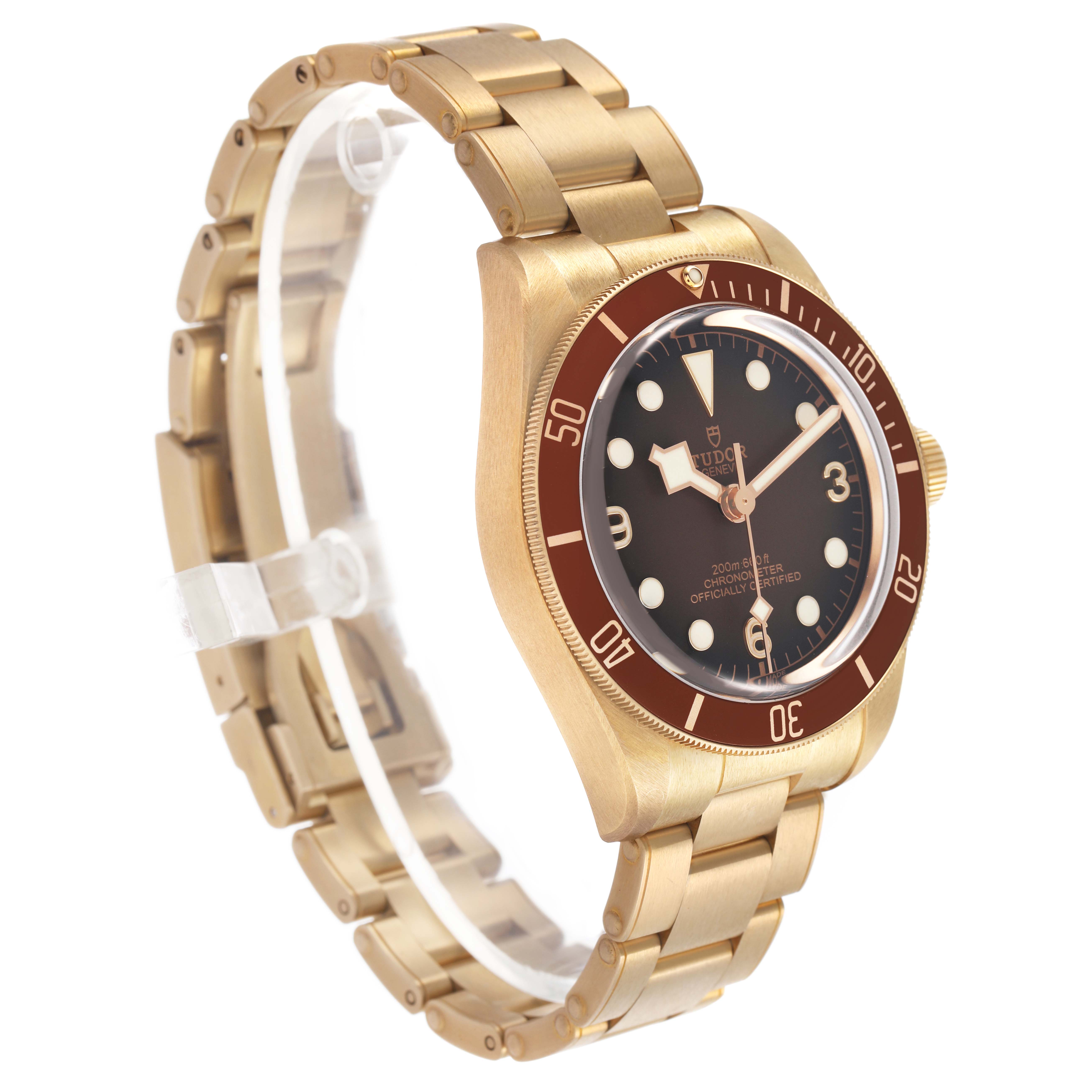 The Tudor Heritage Black Bay M79012M-0001 Men's Bronze Brown Dial watch is shown at a three-quarter angle, highlighting the dial, bezel, and bracelet.