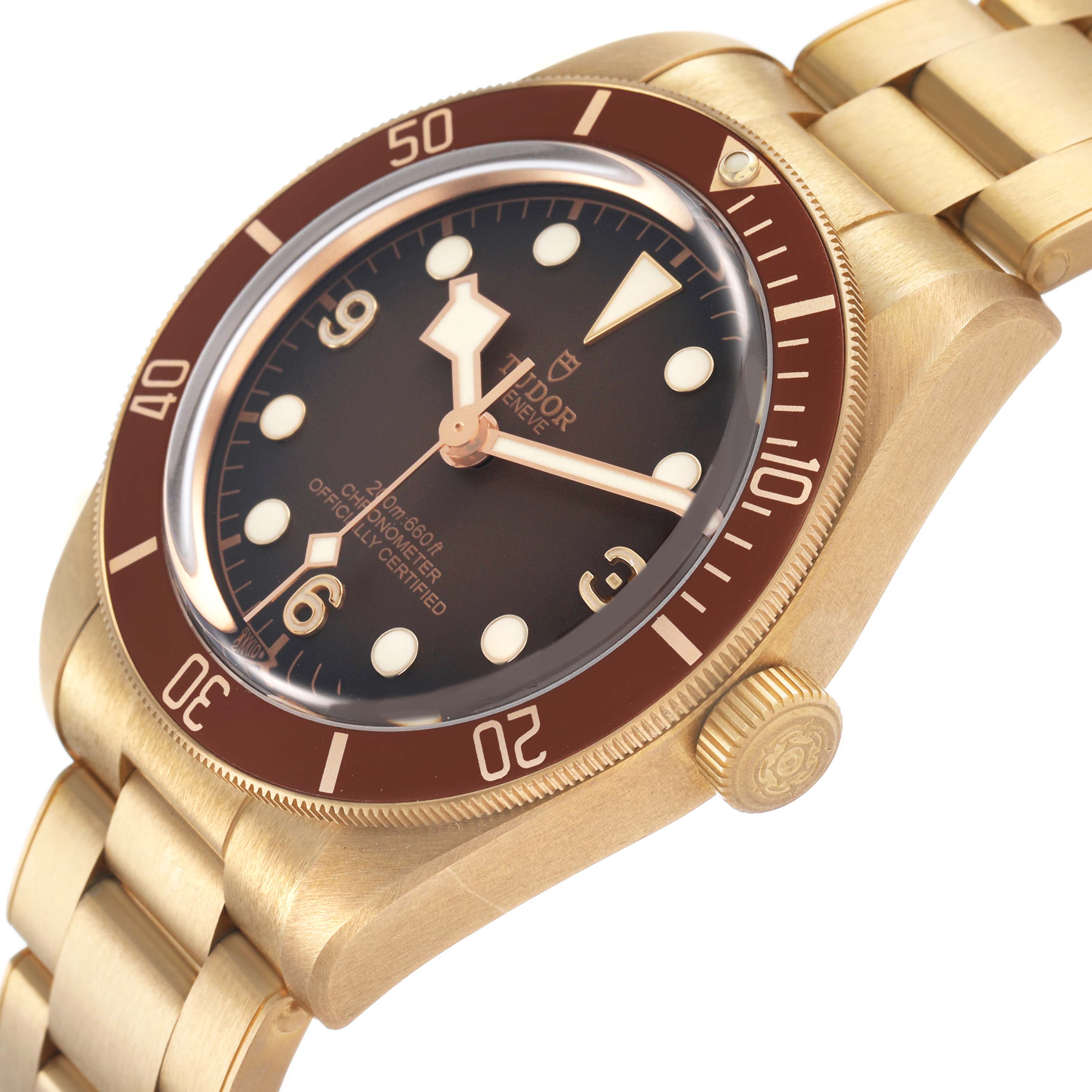 The Tudor Heritage Black Bay M79012M-0001 Men's Bronze Brown Dial watch is shown from an angled side view, highlighting the bezel, dial, crown, and bracelet.