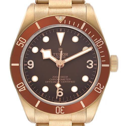 The Tudor Heritage Black Bay M79012M-0001 Men's Bronze Brown Dial watch is shown from a front angle, highlighting the dial, bezel, and crown.
