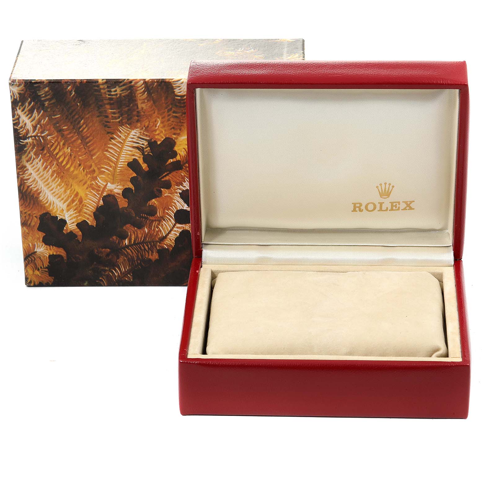 This image shows an open Rolex Date 69240 Women's Stainless Steel Black Dial 69240 Women's Stainless Steel Black Dial model watch box, displaying the interior branding and a cushion for the watch.