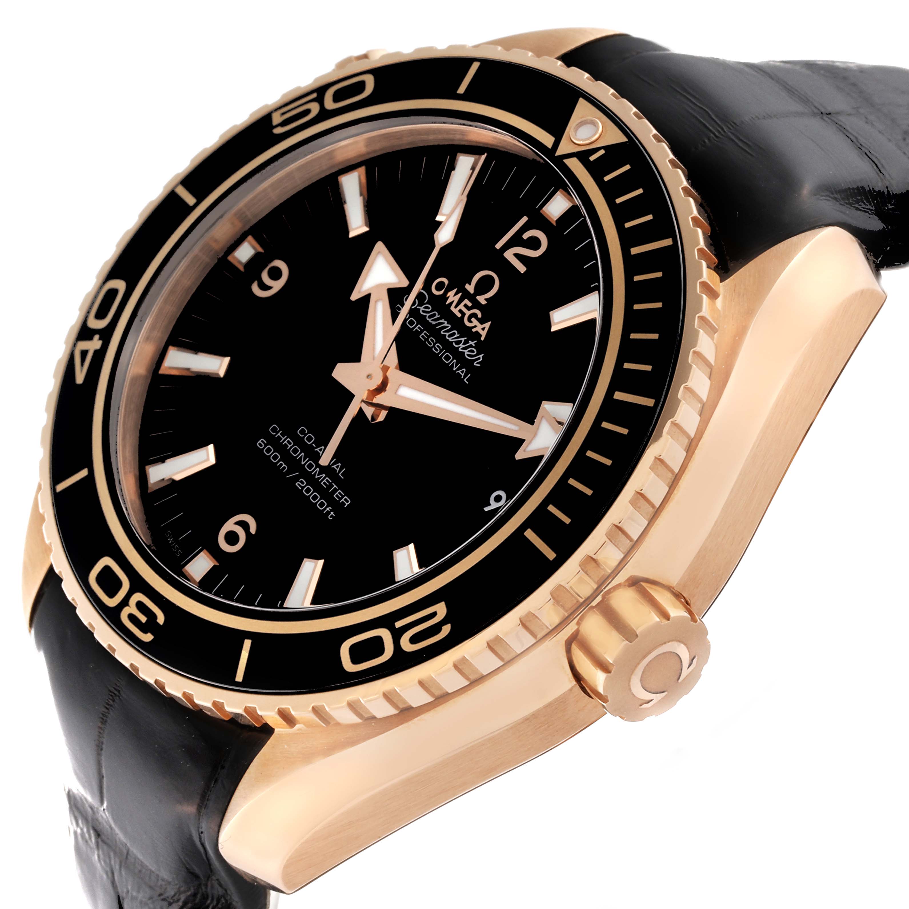 The Omega Seamaster watch is shown at an angled view, highlighting the dial, bezel, crown, and part of the strap.