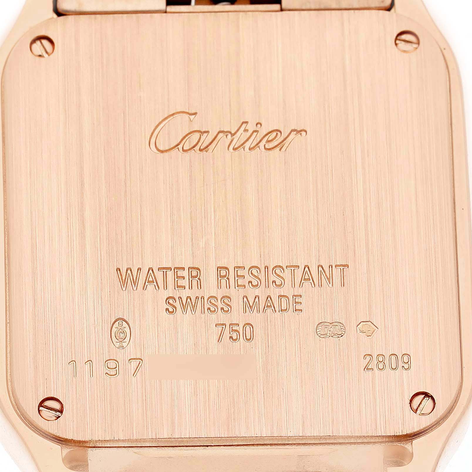 The image shows the back of a Cartier Santos Demoiselle WF9007Z8 Women's Yellow Gold Silver Dial watch, featuring engravings and screws.