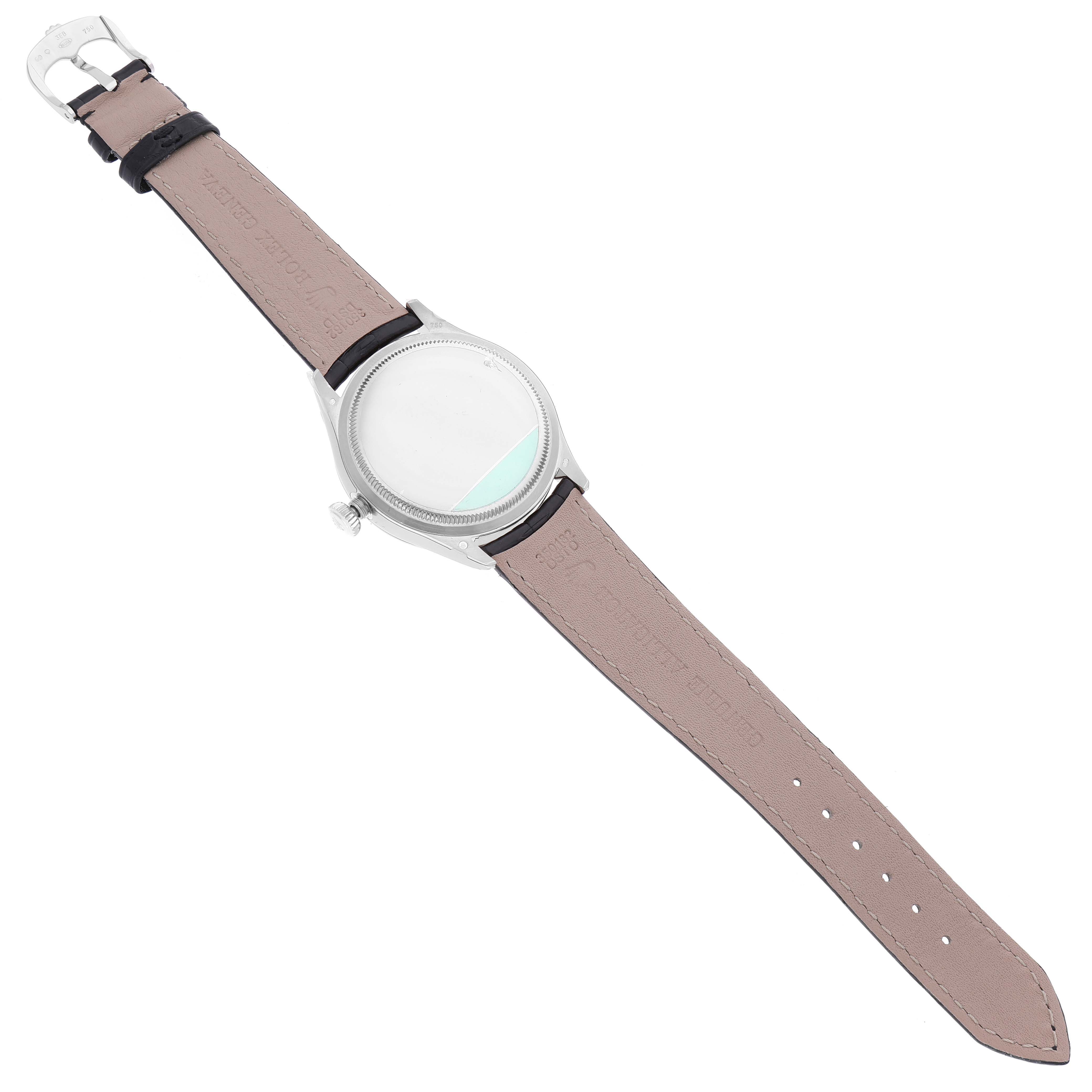 The watch is a Rolex Cellini 50509 Men's White Gold White Dial 50509 Men's White Gold White Dial model shown from the back, displaying the case, crown, and entire leather strap.