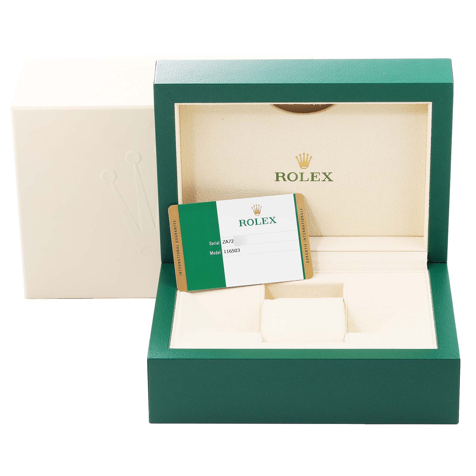 The image shows the inside of a Rolex Daytona 116503 Men's Steel and Gold (two tone) Black Dial 116503 Men's Steel and Gold (two tone) Black Dial watch box with an authenticity card displayed inside.