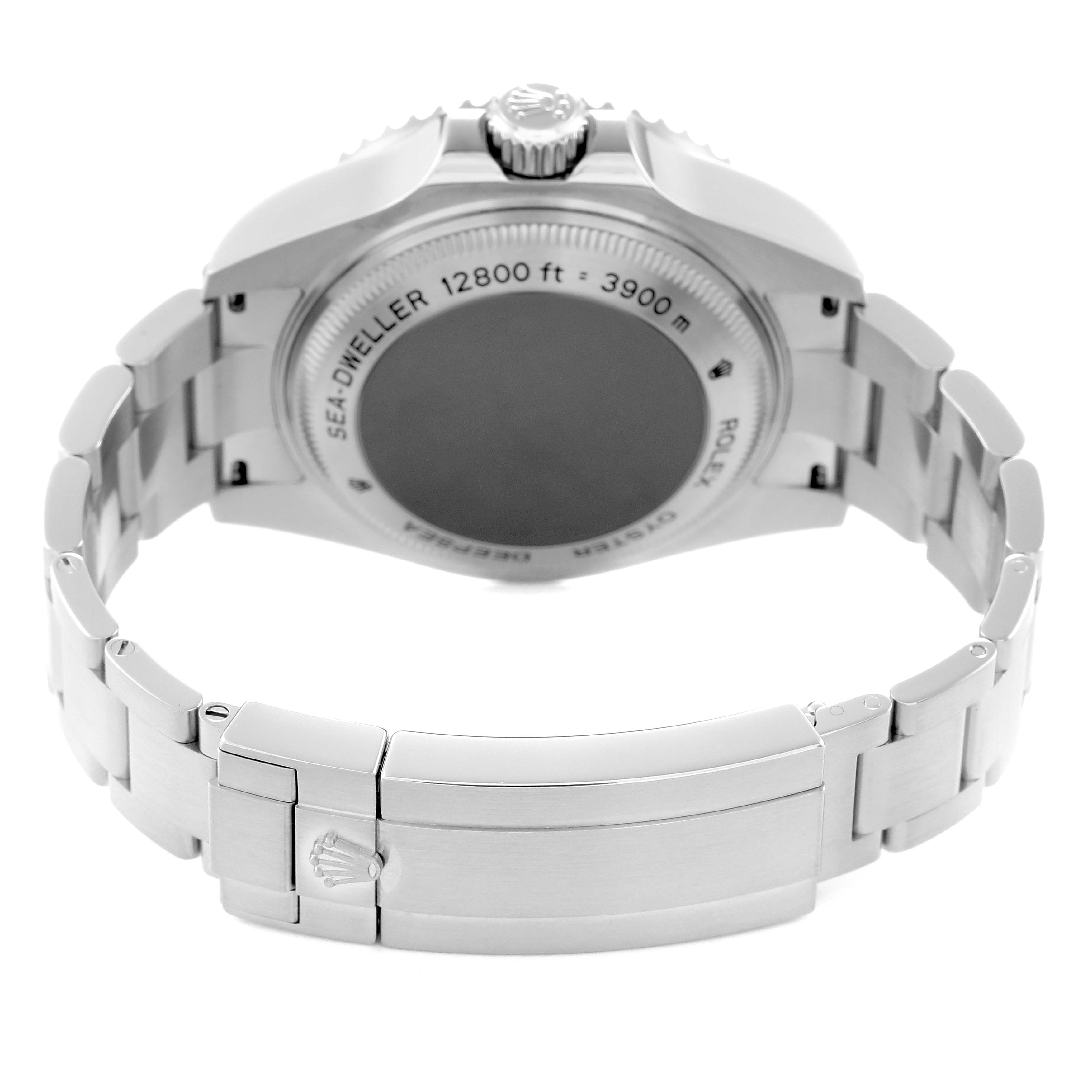 The image shows the back view of the Rolex Sea-Dweller model 116660, highlighting the case back, bracelet, and clasp.