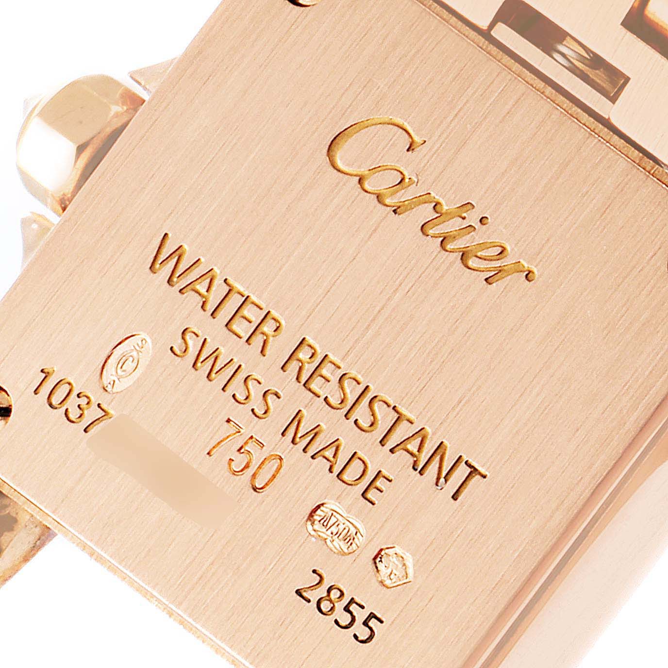 The image shows a close-up view of the backside of a Santos Demoiselle model by Cartier, highlighting the engravings.