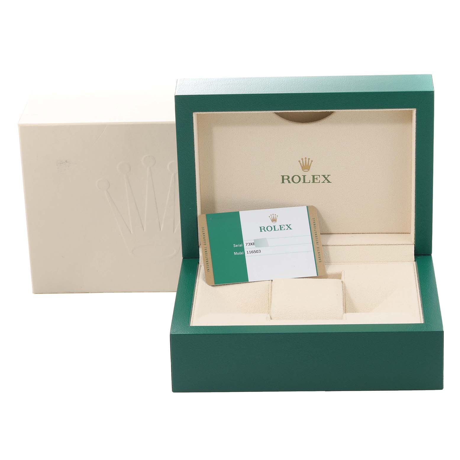 The image shows an open green Rolex Daytona 116503 Men's Steel and Gold (two tone) Champagne Dial 116503 Men's Steel and Gold (two tone) Champagne Dial box with a warranty card inside and the outer sleeve featuring the Rolex logo.