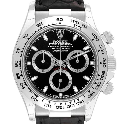 The image shows a front view of a Rolex Daytona watch, highlighting the dial, subdials, bezel, and part of the strap.
