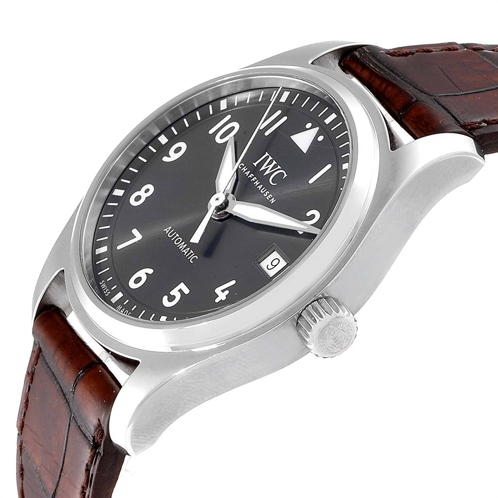 iwc iw324001