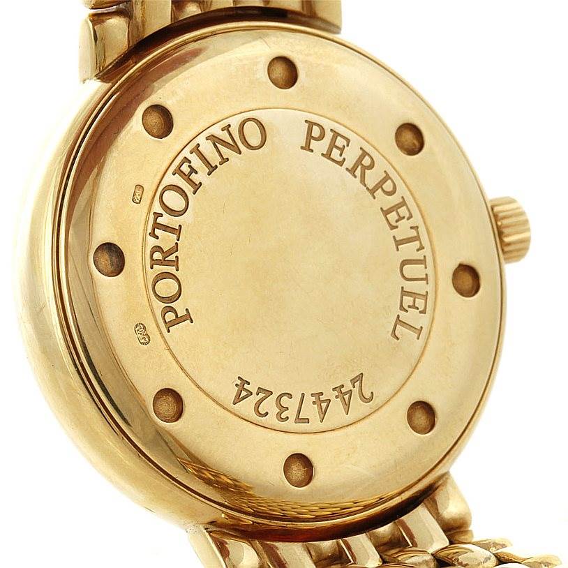 This image shows the back of an IWC Portofino 3541 Men's Yellow Gold White Dial 3541 Men's Yellow Gold White Dial Perpetuel watch, highlighting the model name and serial number.