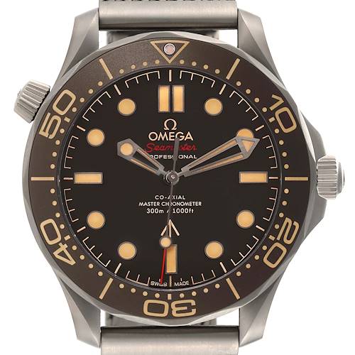 This image shows a front view of the Omega Seamaster watch, highlighting the face, hands, bezel, and crown.