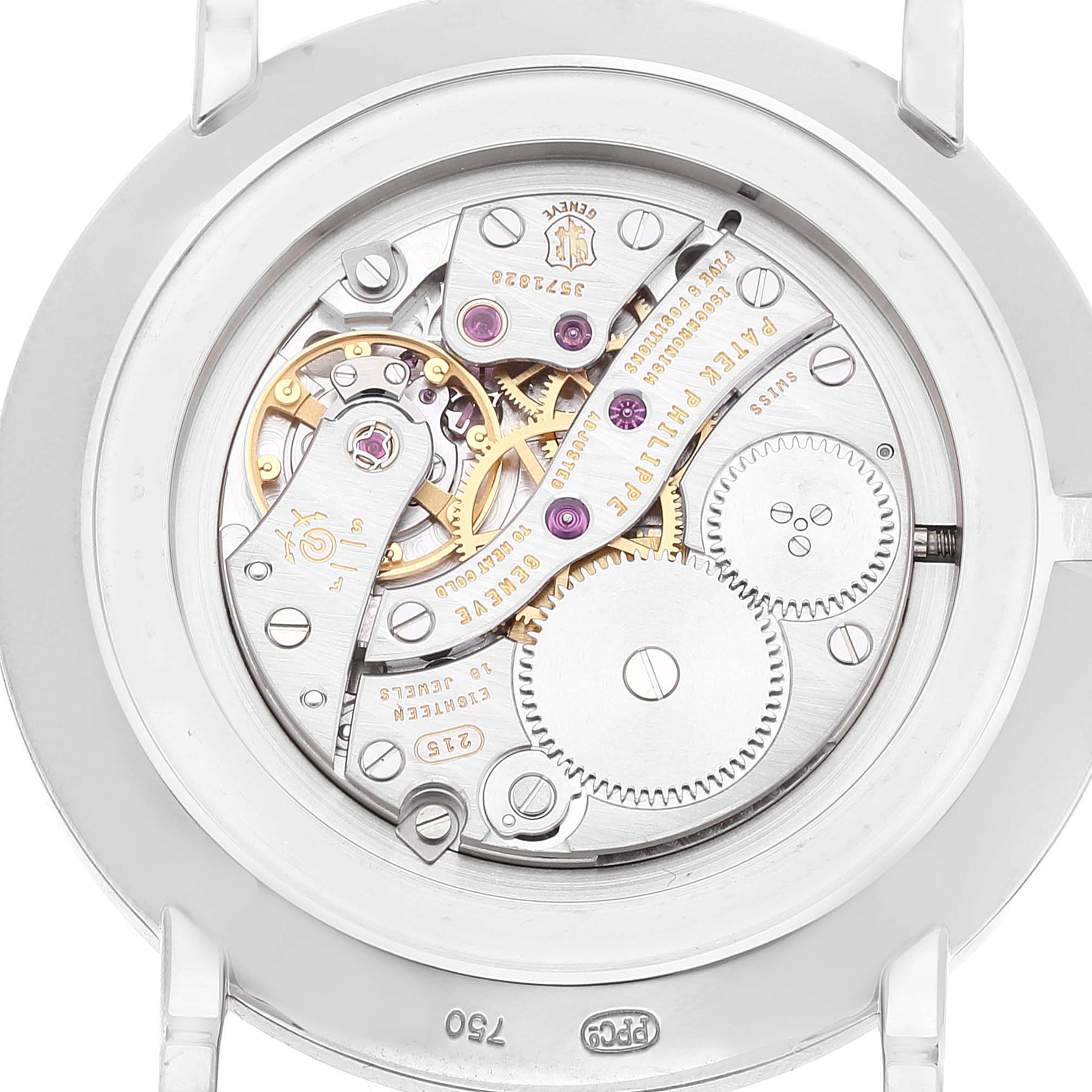 The image shows the back view of the Calatrava model by Patek Philippe, focusing on the movement and internal mechanisms.