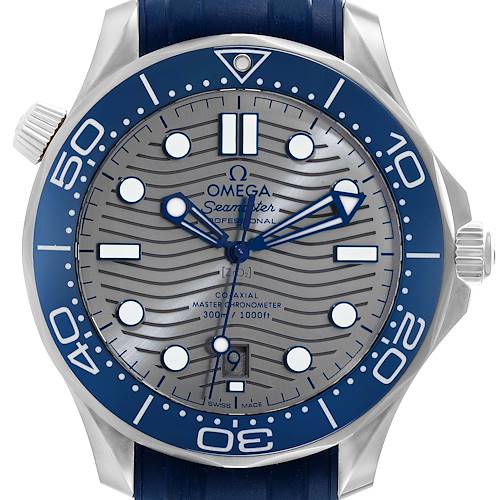 Photo of Omega Seamaster Diver Master Chronometer Watch 210.32.42.20.06.001 Box Card