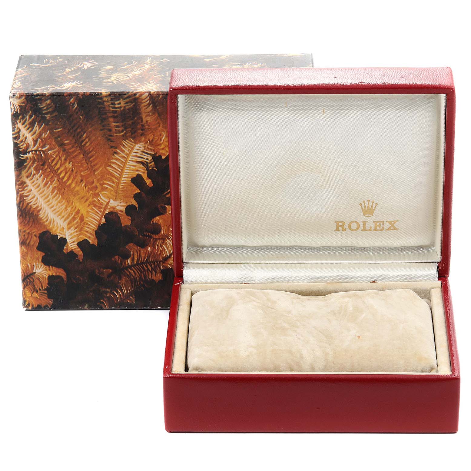 The image shows an open Rolex President 69178 Women's Yellow Gold White Dial 69178 Women's Yellow Gold White Dial watch box, with a cushion inside and the Rolex logo on the interior lid.