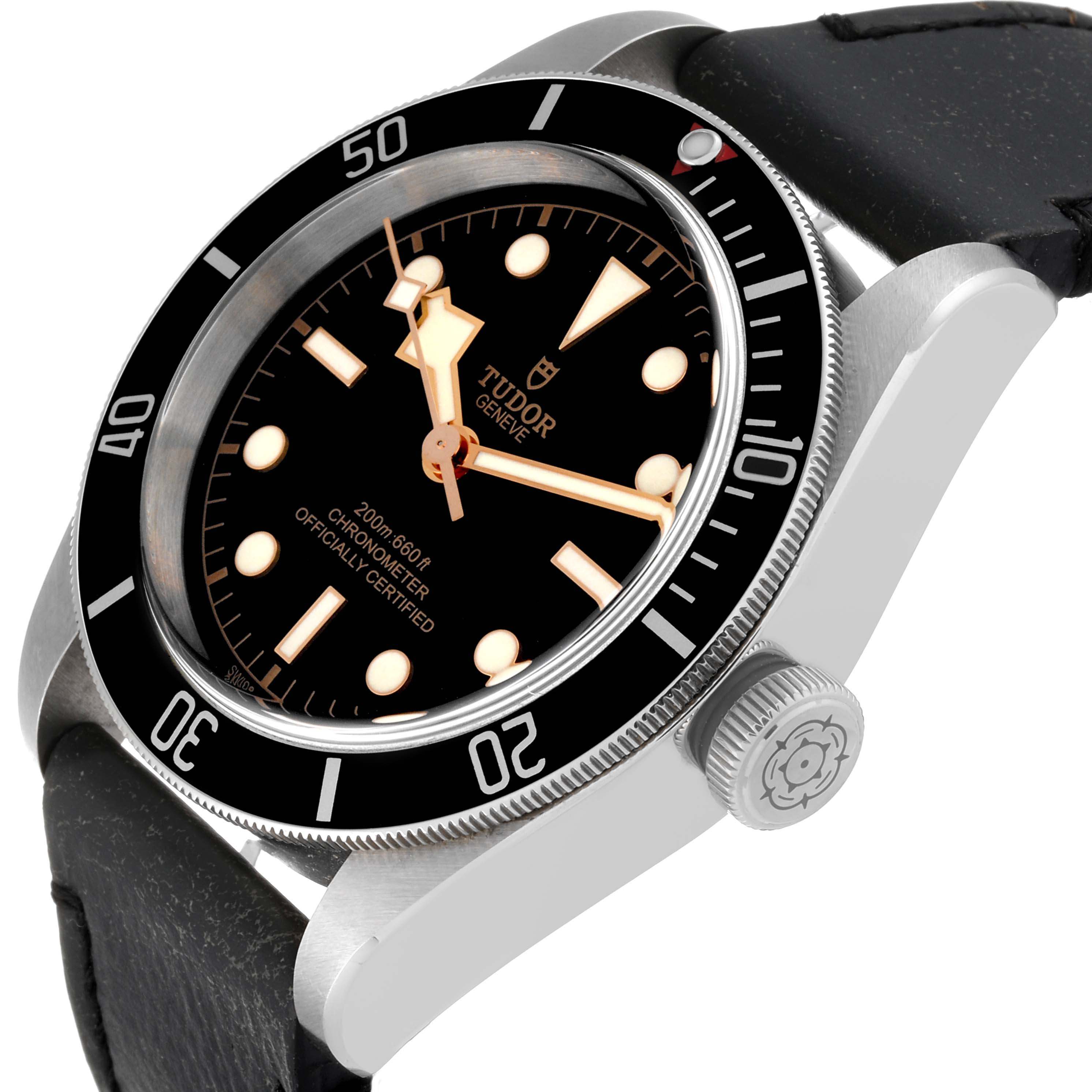 The image shows a front-side angle of the Tudor Heritage Black Bay 79230 Men's Stainless Steel Black Dial 79230 Men's Stainless Steel Black Dial watch, highlighting its bezel, crown, dial, and strap.