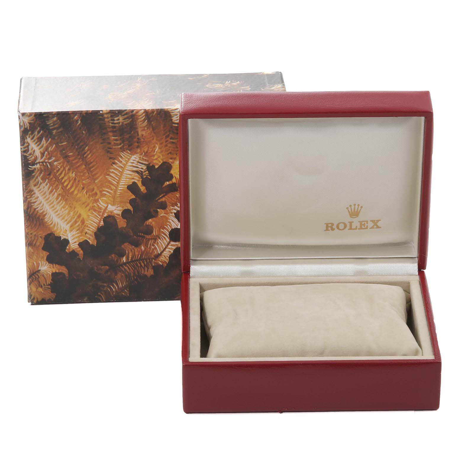 This image shows an open Rolex President 69179 Women's White Gold Champagne Dial 69179 Women's White Gold Champagne Dial model watch box, with the lid displaying the Rolex logo and a cushion inside.