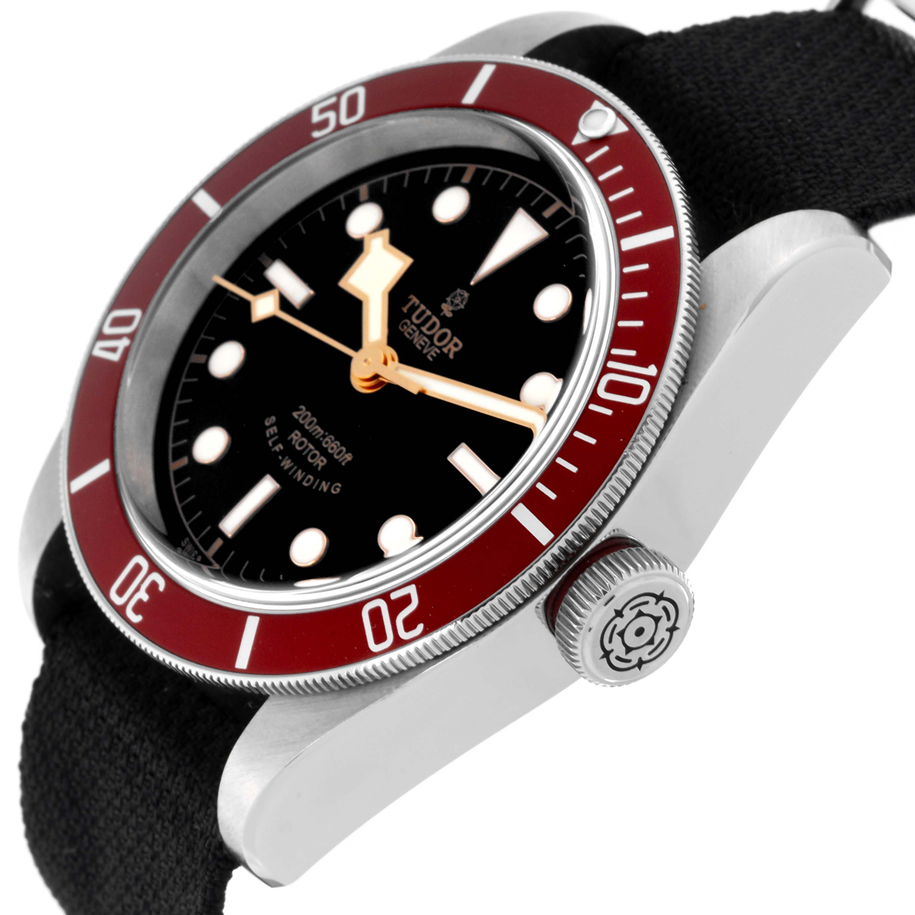 This image shows the Tudor Heritage Black Bay 79220R Men's Stainless Steel Black Dial 79220R Men's Stainless Steel Black Dial watch at a close-up side angle, highlighting the crown and bezel.