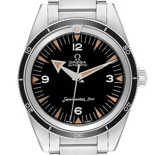 The image shows a front view of the Omega Seamaster 300 watch, highlighting the dial, bezel, and bracelet attachment points.