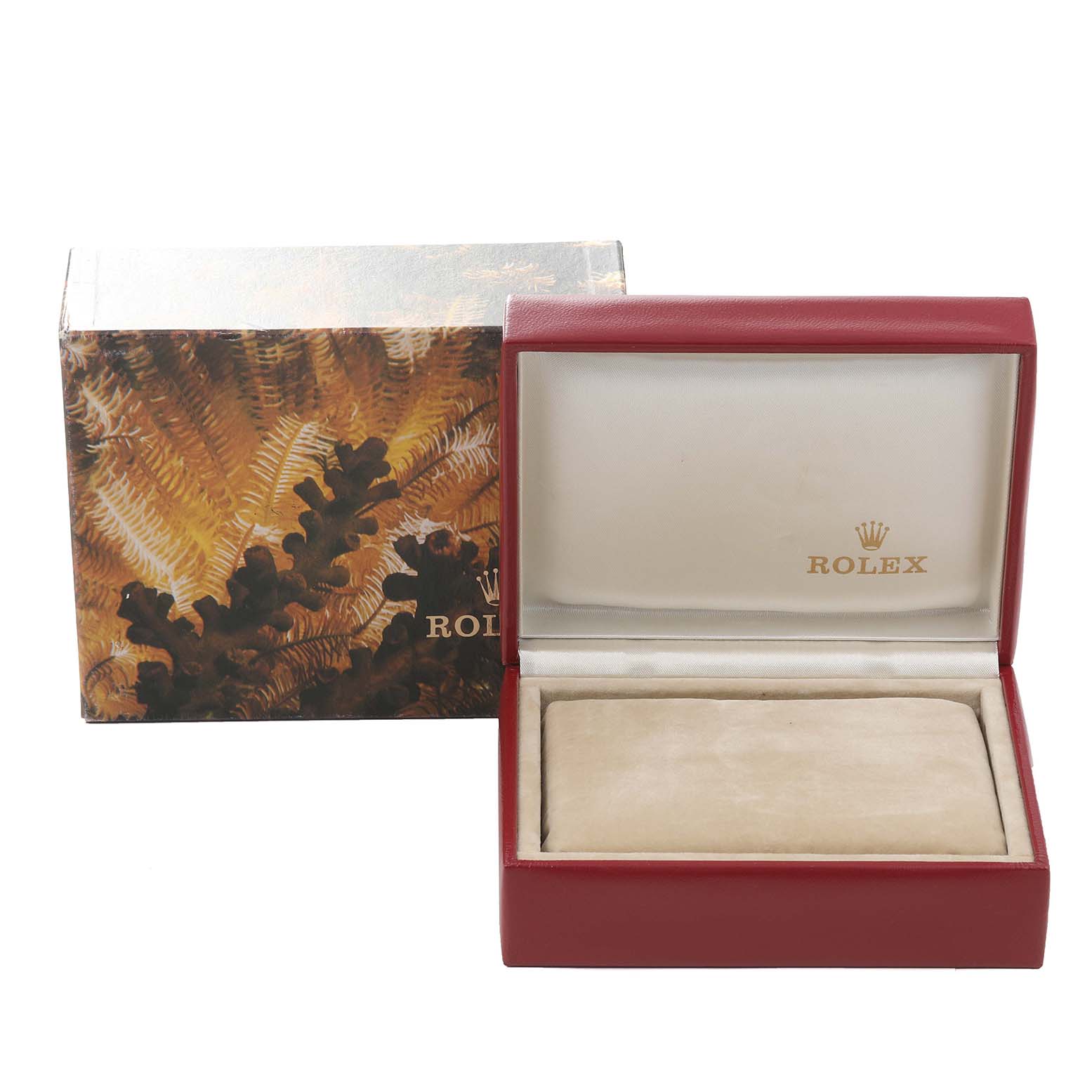 The image displays an open Rolex Datejust 69173 Women's Steel and Gold (two tone) Champagne Dial 69173 Women's Steel and Gold (two tone) Champagne Dial watch box with the outer packaging in the background.