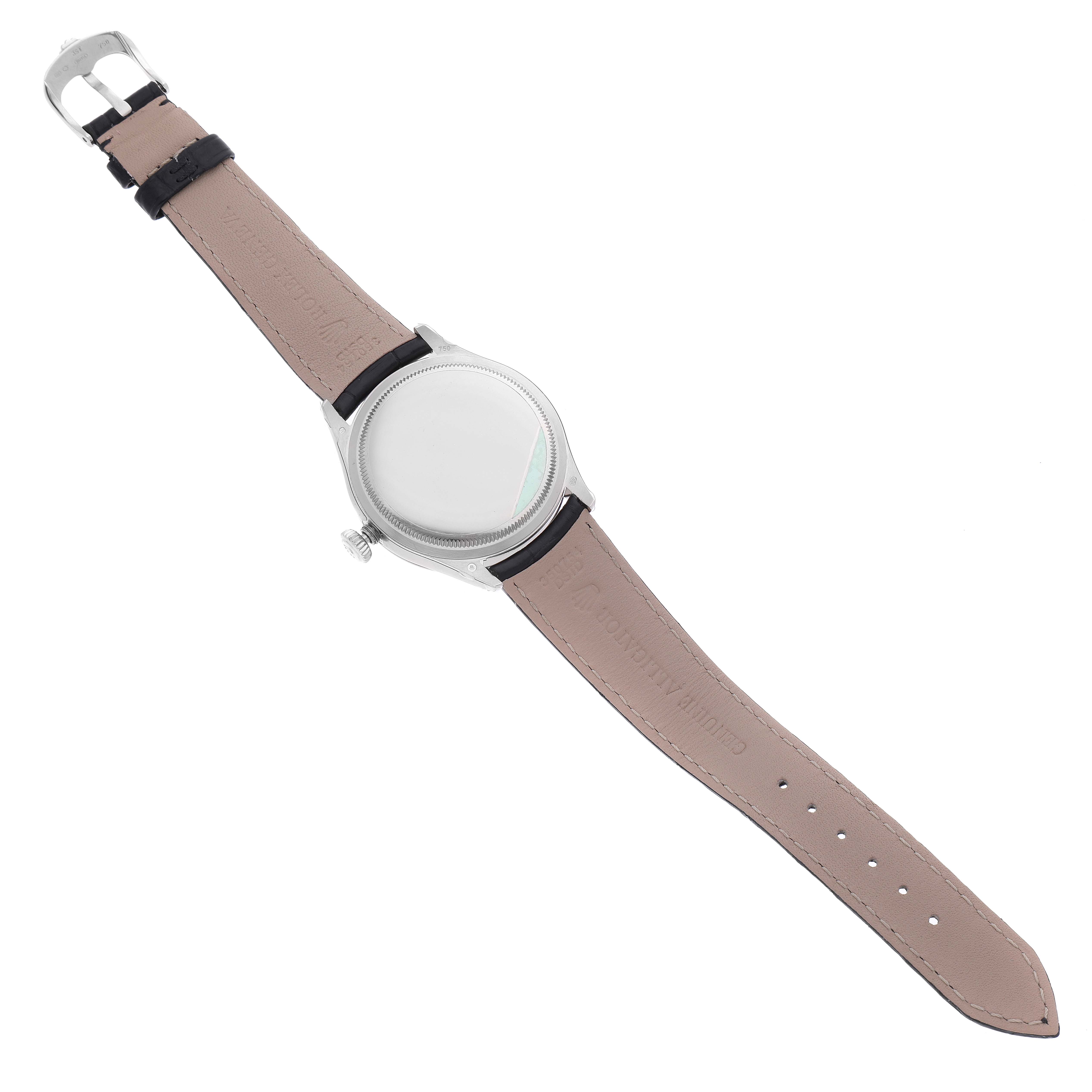 The image shows the back view of a Rolex Cellini 50509 Men's White Gold White Dial 50509 Men's White Gold White Dial watch, featuring its leather strap and the case back.